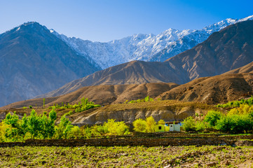 Beautiful Landscape of Shispare peak in Autumn season. Northern Area of Pakistan
