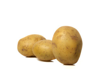 Beautiful colored potatoes