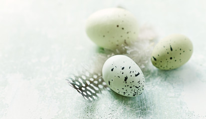 Speckled Easter eggs and feathers on a wooden surface
