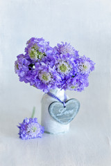 Beautiful bouquet of flowers.Scabious flowers and close-up in a vase ,decorated with a wooden heart on the table.Grunge paper background. 