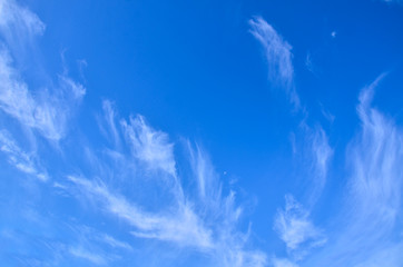 clouds in the blue sky