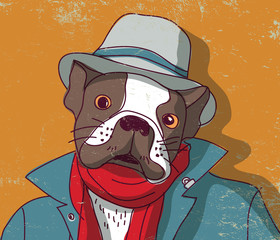 French bulldog pets cute animal in clothing. 