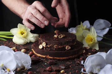 Fototapeta na wymiar Chef is decorating little chocolate cake with nuts.