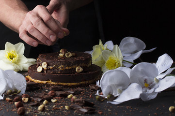 Fototapeta na wymiar Chef is decorating little chocolate cake with nuts.