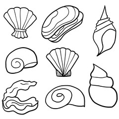 vector set of shell