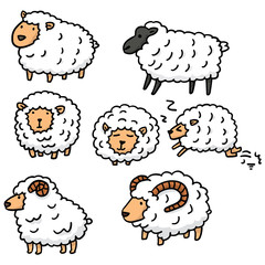 Obraz premium wektor zestaw owiec