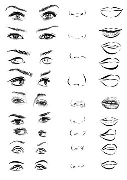 Set Of Woman Eyes, Lips, Eyebrows And Noses As Black Sketching Design Elements. Vector