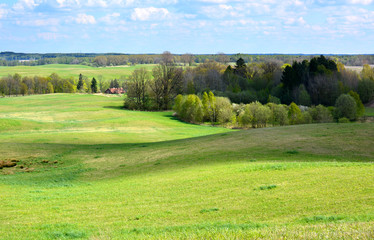 Green spring landscape with meadows and trees