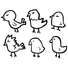 vector set of bird