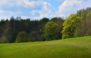 Green spring landscape with meadows and trees