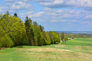 Fototapeta na wymiar Green spring landscape with meadows and trees