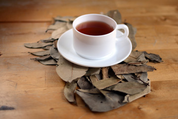 Decoction of the leaves. Graviola - natural medicine.