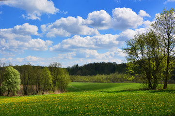 Green spring landscape with meadows and flowers