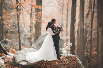 Gorgeous wedding couple kissing and hugging in forest with big rocks