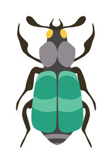 Beetle flat insect bug in cartoon style vector