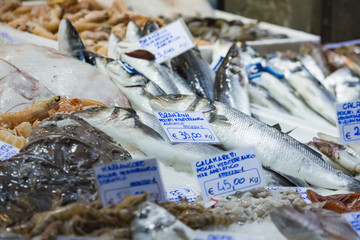 Bologna fresh fish market, Italy.