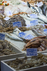 Bologna fresh fish market, Italy.