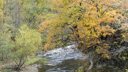 Fototapeta premium Fudo stream and the red bridge at Mount Nakano-Momiji