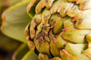 Fresh artichoke macro shot with natural light