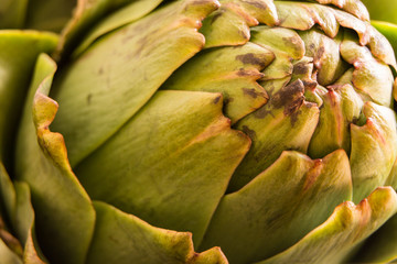 Fototapeta premium Fresh artichoke macro shot with natural light