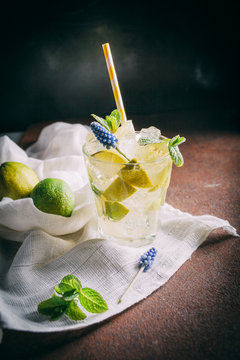 Fresh Mojitos