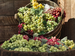 Bunch of Colorful Grapes in Wodden Basket on Shelf