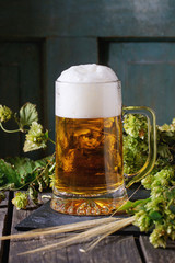 Mug of lager beer