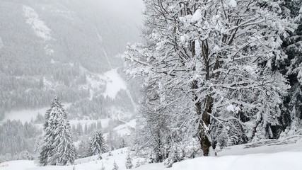 Winter wonderland in Austria