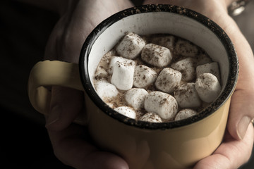 Cup of cocoa with marshmallows in the hand horizontal