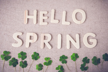 hello spring  with green leaf, background,toning.