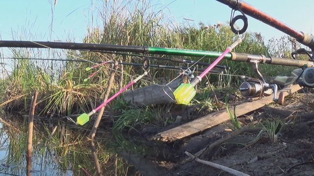 Fishing  in sunrise.  Spinning on rod pod. Sound nature