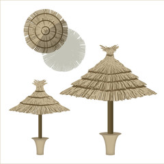 2 types de parasols tropicaux avec une vue de dessus pour plan