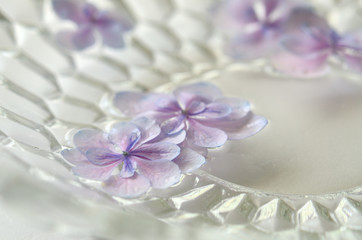 ガラスの器に浮かべた紫陽花の花　