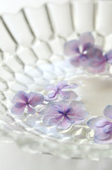 Fototapeta na wymiar ガラスの器に浮かべた紫陽花の花　
