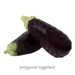 Polygonal Eggplant