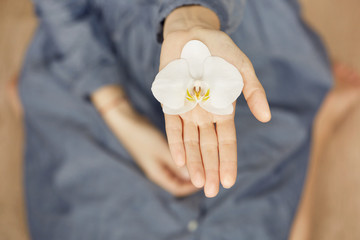 Woman hands holding a flower, with focus on a flower