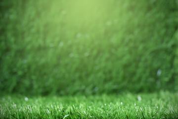 Fresh green grass background concept