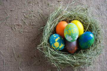 top view of nest with eggs