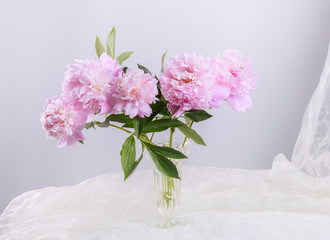 Beautiful pink peonies