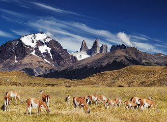 Torres del Paine, Patagonia, Chile © Dmitry Pichugin