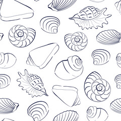 Seashells white seamless background