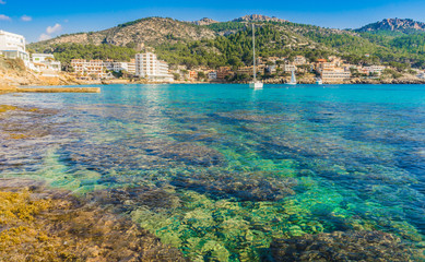 Obraz premium Beautiful Mediterranean bay of Sant Elm Majorca Spain