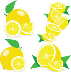 Lemon, lemon slices, set of lemons, vector illustrations - 105345319