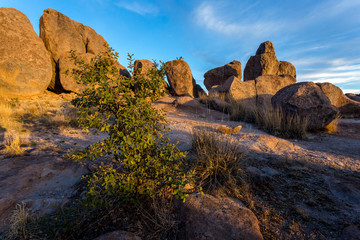 New Mexico Landscapes