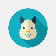Lama flat icon. Animal head vector symbol