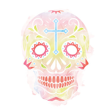 Watercolor vector illustration of Skull the Day of the Death