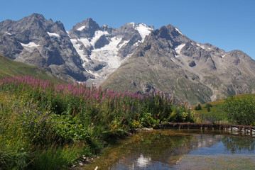 Fototapeta na wymiar Massif de La Meije - Glacier de l'Homme