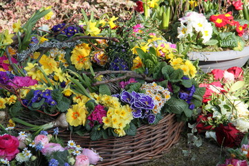 Fototapeta na wymiar Blumen als Grabschmuck nach Beerdigung im Frühling