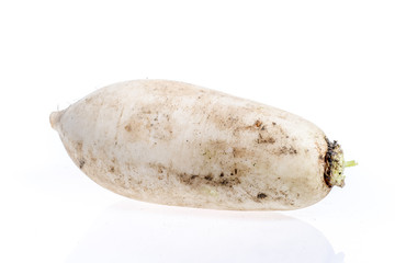 White radish isolated on a white background