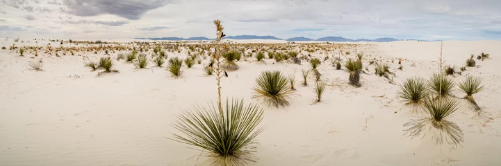 Foto auf Acrylglas New Mexico Landscapes © jon manjeot